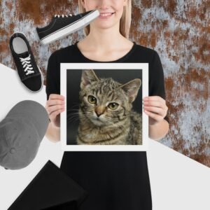 funny-cat-shirt-funnycats.jpg